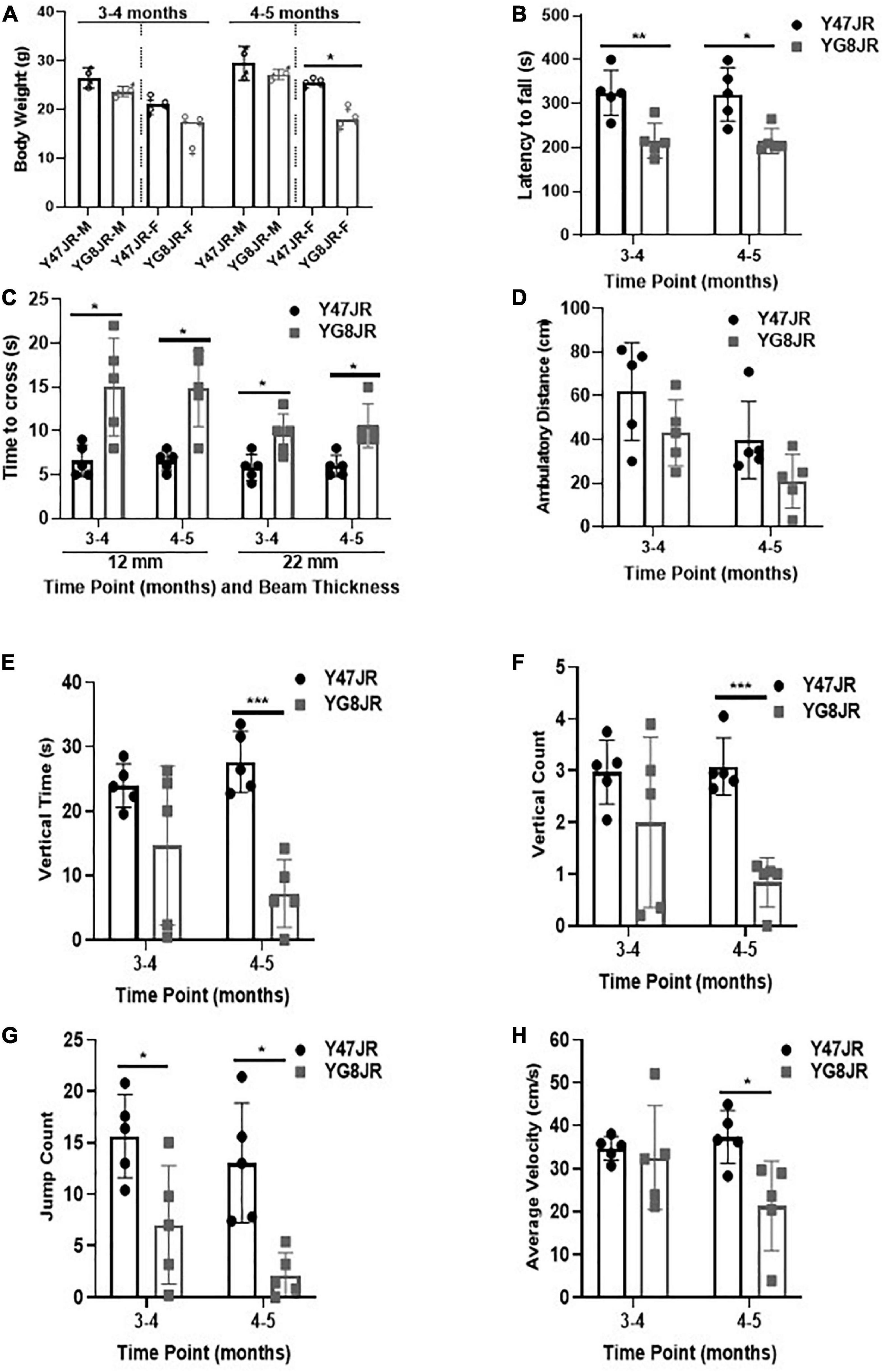 A new FRDA mouse model [Fxnnull:YG8s(GAA) > 800] with more than 800 GAA repeats